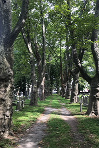 Mercer Cemetery  